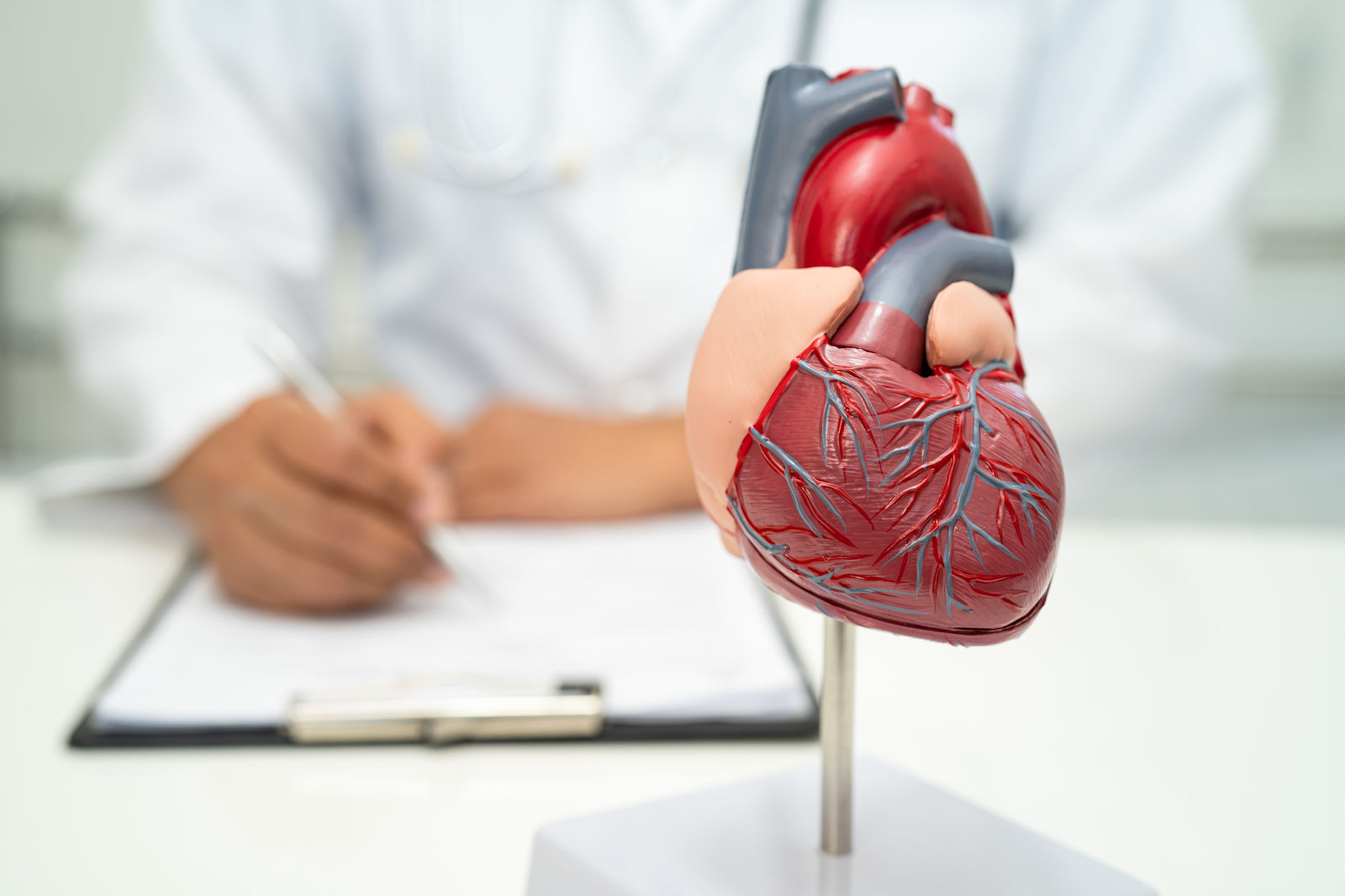 Cardiology — مجموعة هيلث لاين الطبية